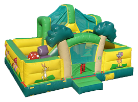toddler inflatible playground